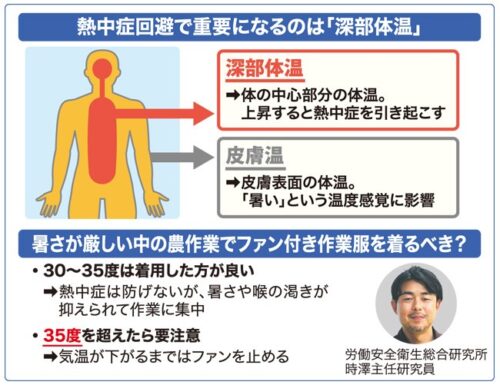 熱中症回避で重要になるのは「深部体温」